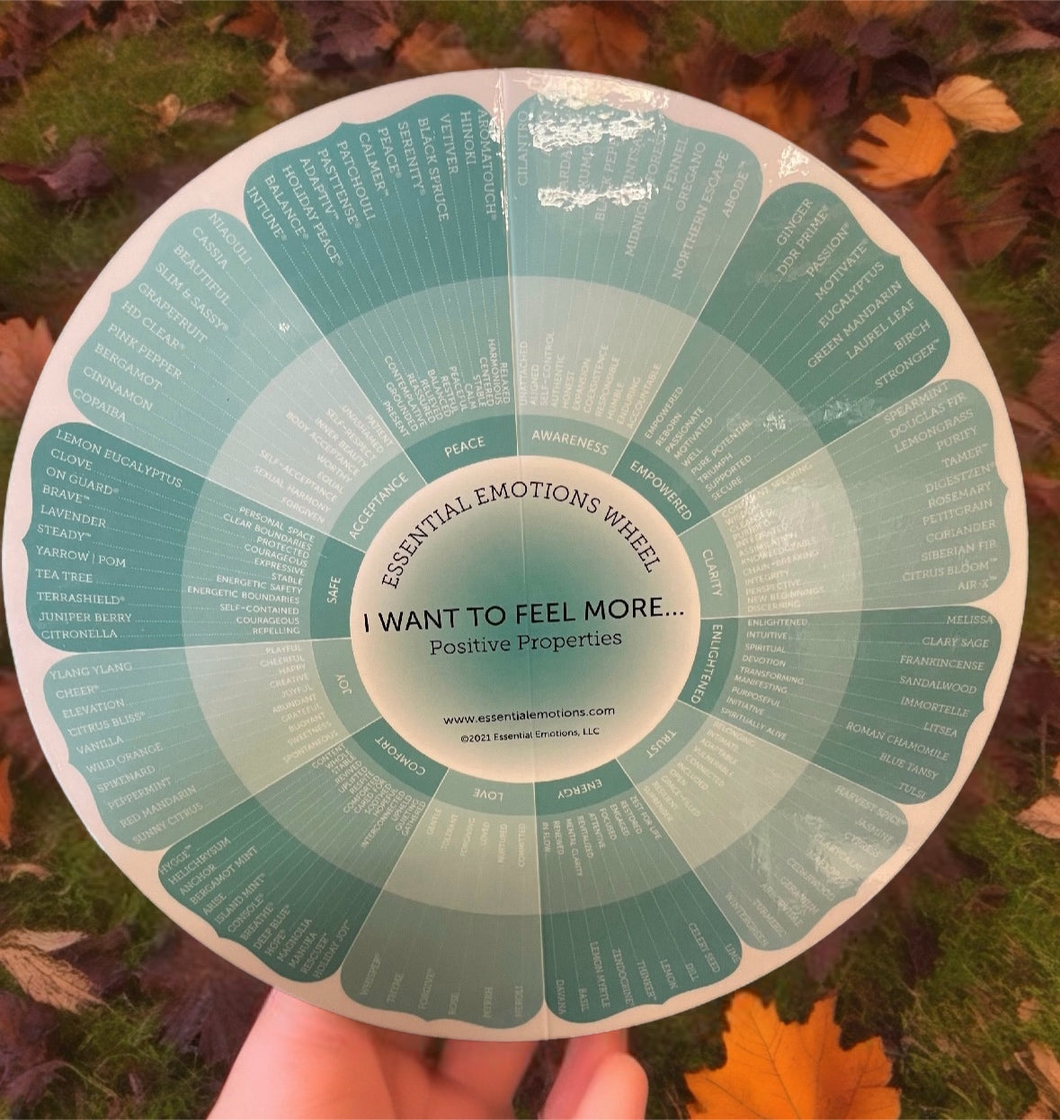 Essential Emotional Wheel