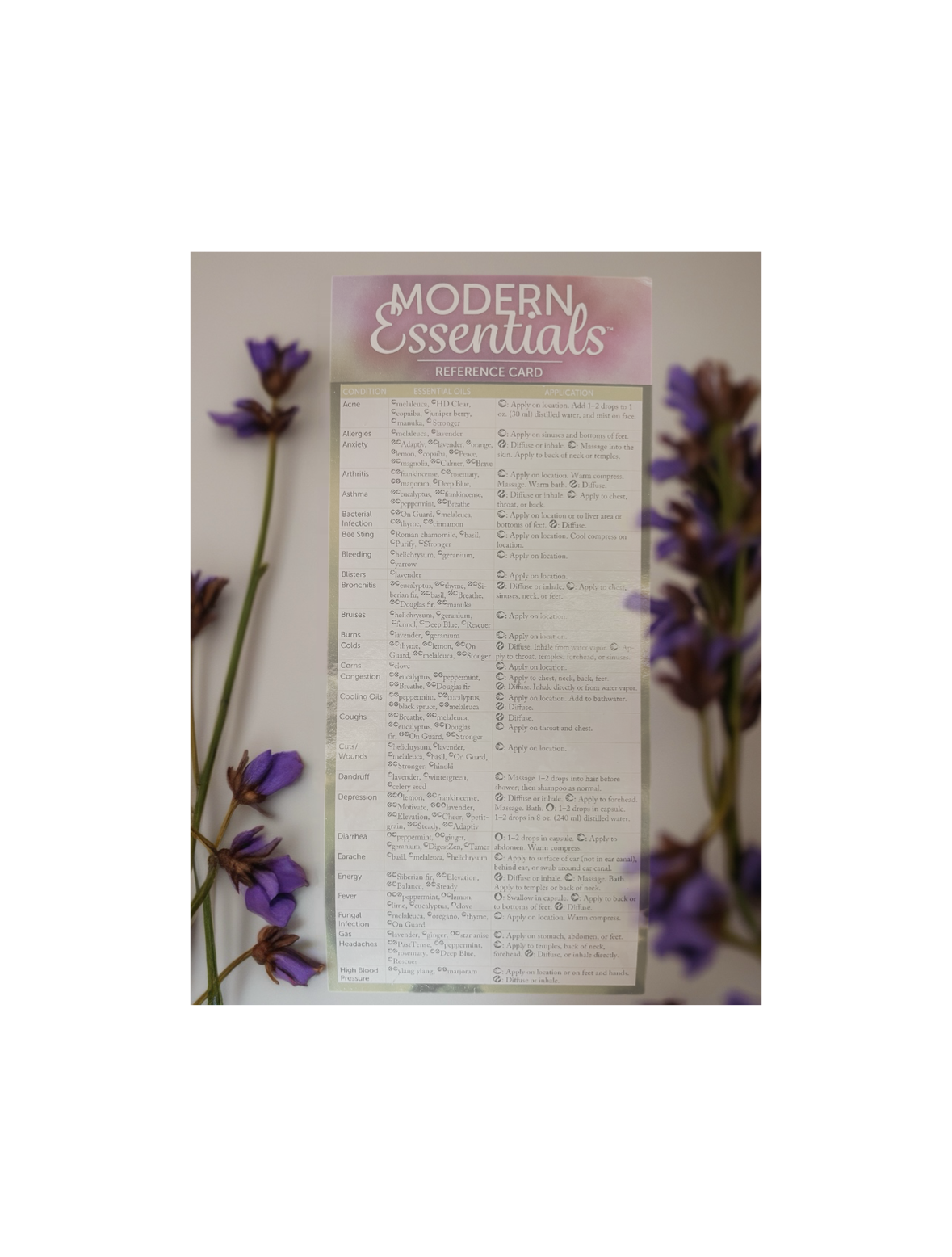 Modern Essential Reference Card 13th Edition